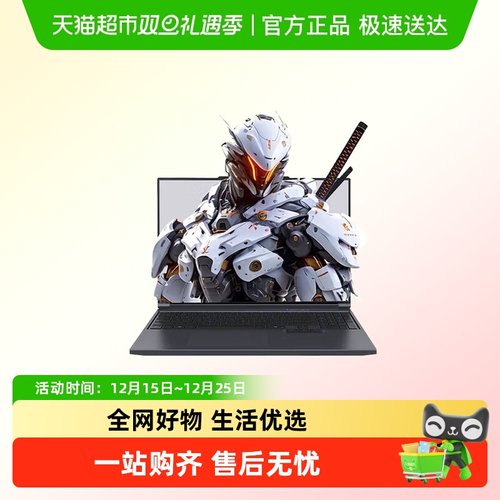 机械革命极光X办公16高性能电脑