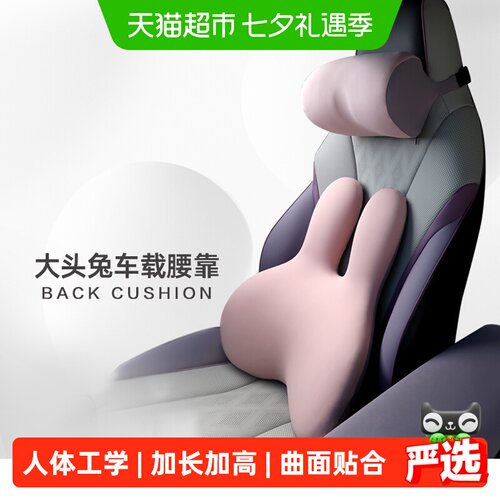 西诺思汽车车载护腰套装