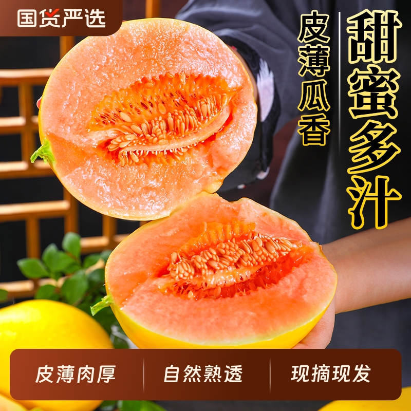 【亿果争鲜】黄河蜜瓜新鲜甜瓜水果现摘香瓜当季整箱包邮黄哈密瓜