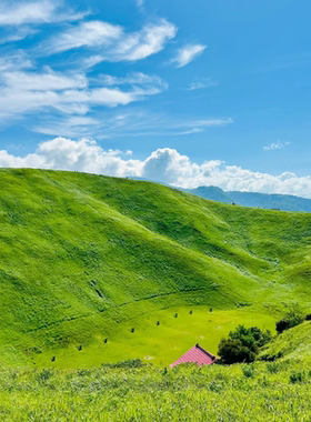 日本热海海滨公路+大室山+城崎海岸+门胁吊桥+马琳小镇+一日游