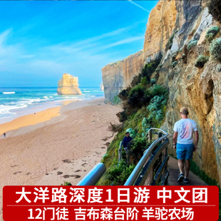 澳大利亚墨尔本大洋路一日游十二门徒岩吉布森中文导游澳洲旅游