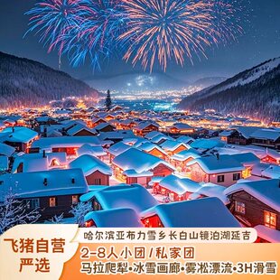 2-8人纯玩小团哈尔滨长春亚布力雪乡镜泊湖延吉长白山6天5晚