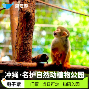 [名护自然动植物园-大门票]日本自然动植物园大门票亲子冲绳