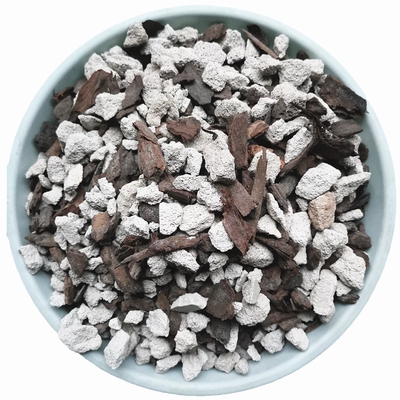 腐熟松树皮栽培兰花土