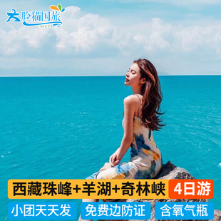 一价全含 西藏拉萨旅游 珠峰大本营4日游羊湖奇林峡4天3晚旅游