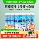 6罐海南特产椰汁饮料整箱 南国植物蛋白谷物饮料椰奶清补凉280g