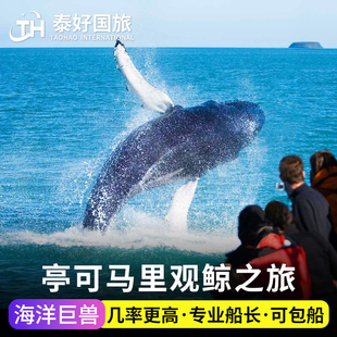 Lanka东部追鲸鱼旅游 斯里兰卡亭可马里观鲸一日游出海赏鲸鱼Sri