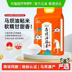 舶元马坝油粘米5kg广东特产丝苗米软糯弹牙煲仔饭用籼米地标认证