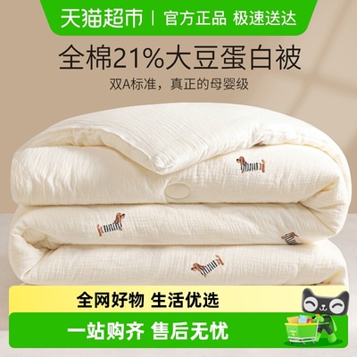 杜威卡夫A类全棉刺绣大豆被芯