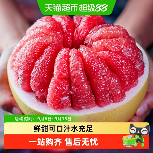 淘天然福建红心蜜柚当季现摘多汁