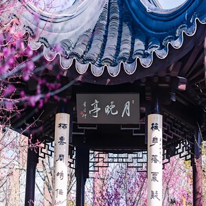 [香雪海-大门票]成人票 随买随用