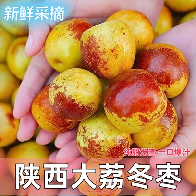 陕西大荔冬枣新鲜大果应季整箱枣子青脆枣冰糖大枣当季水果