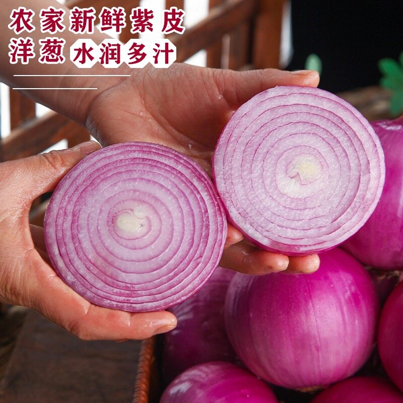 当季农家自种新鲜紫皮洋葱现挖新鲜蔬菜洋葱洋葱头脆甜