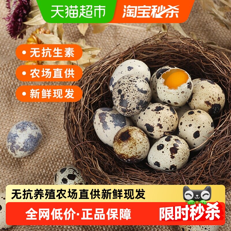 神丹无抗养殖新鲜鹌鹑蛋50枚五谷喂养宝宝营养辅食安全蛋礼盒装,水产肉类/新鲜蔬果/熟食,其它,淘宝优惠券,粉丝福利购,淘宝优惠卷