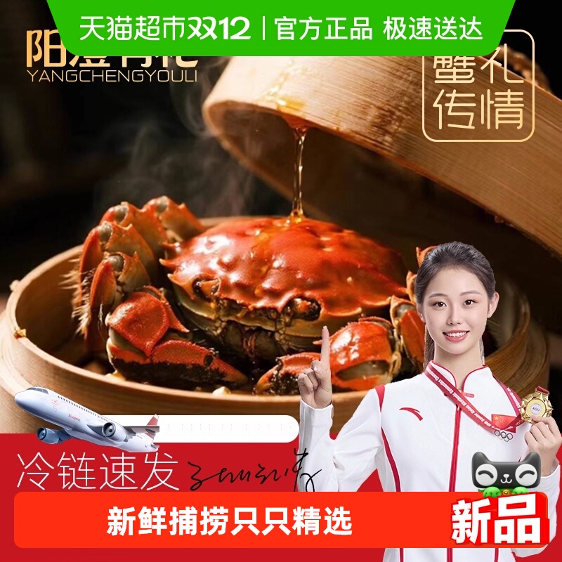 阳澄有礼大闸蟹全母活蟹去绳足两