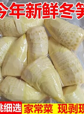 竹笋冬笋新鲜2025新鲜水煮笋野生竹笋春笋蔬菜火锅清水笋楠竹笋
