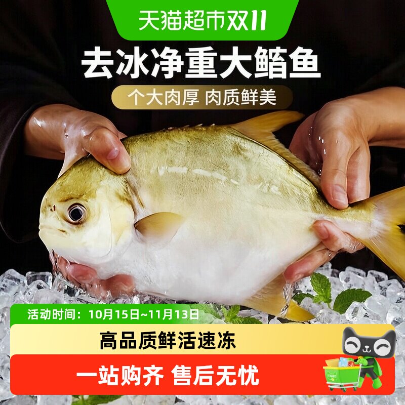 顺丰上门金鲳鱼新鲜冷冻鲜活特大鲳鱼日照金昌鱼海鱼白鲳银鲳鱼