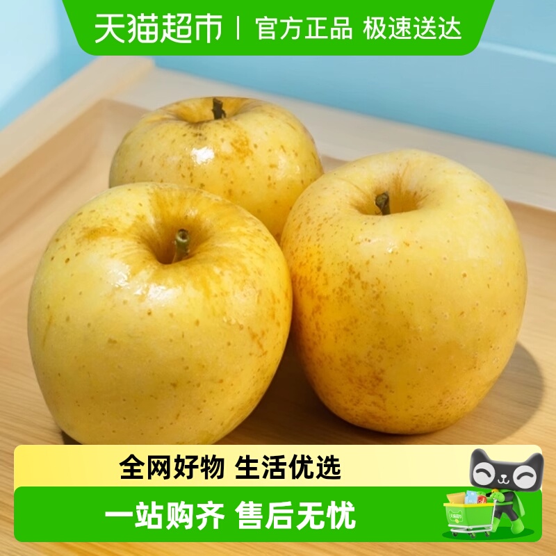 ƹ ƽά˹ƻ ۶֭ ˬ װ