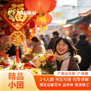 广州一日游2-6人纯玩小团司导讲解陈家祠珠江夜游/广州塔包车旅游