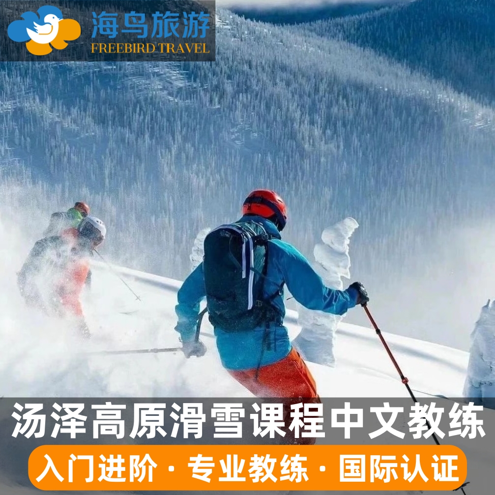 日本新泻汤泽高原滑雪场中文私人滑雪教练课程 专业国际认证