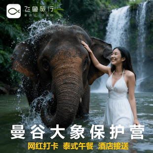 曼谷亲子游优选 午餐酒店接送 泰国曼谷大象保护营 泰式