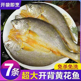 新鲜特大霞浦特产大黄花鱼开背调味黄鱼鲞批发海鲜免洗