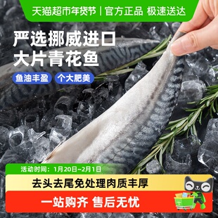 市舶士挪威进口北极物产青花鱼片去头尾冷冻海鲜水产日式鲭鱼烧烤