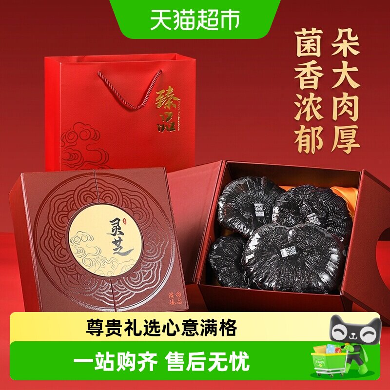 半山农野生整朵滋补黑灵芝图片