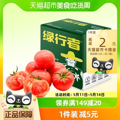 绿行者西红柿蔬菜水果2.5kg×1箱