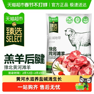 【臻选】黄淮羔羊肉新鲜现杀羊小腿肉战斧法式羊排肋排烧烤肉食材