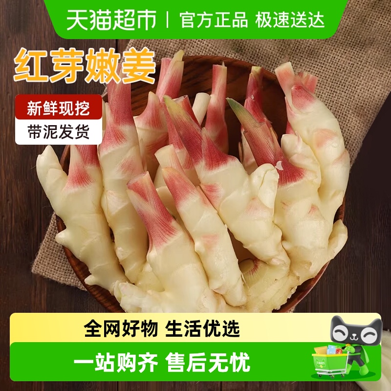 农家嫩姜新鲜蔬菜