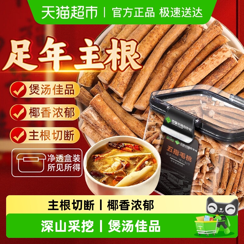 正宗五指毛桃深山五指毛桃搭茯苓当归灵芝煲汤四季温和滋养养生茶