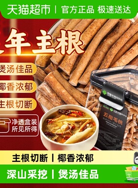 正宗五指毛桃深山五指毛桃搭茯苓当归灵芝煲汤四季温和滋养养生茶