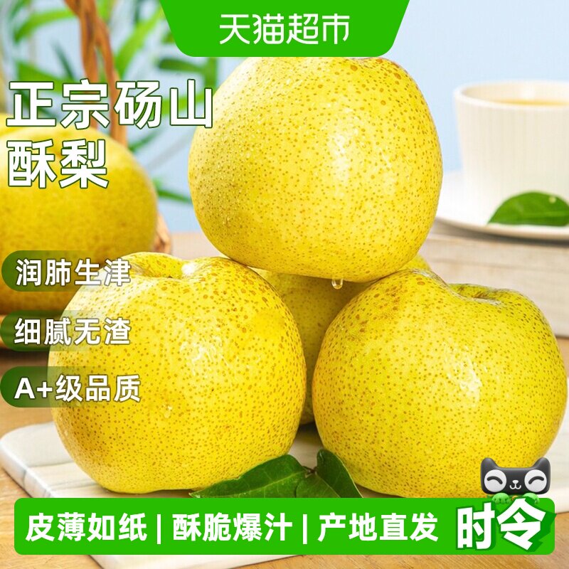 砀山酥梨新鲜水果图片