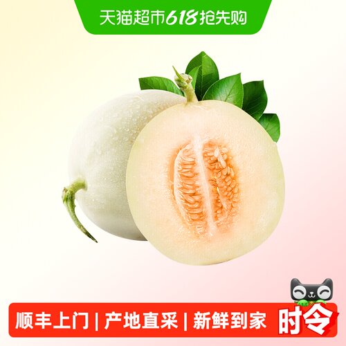 孙悟空阎良甜瓜自然成熟新鲜到家