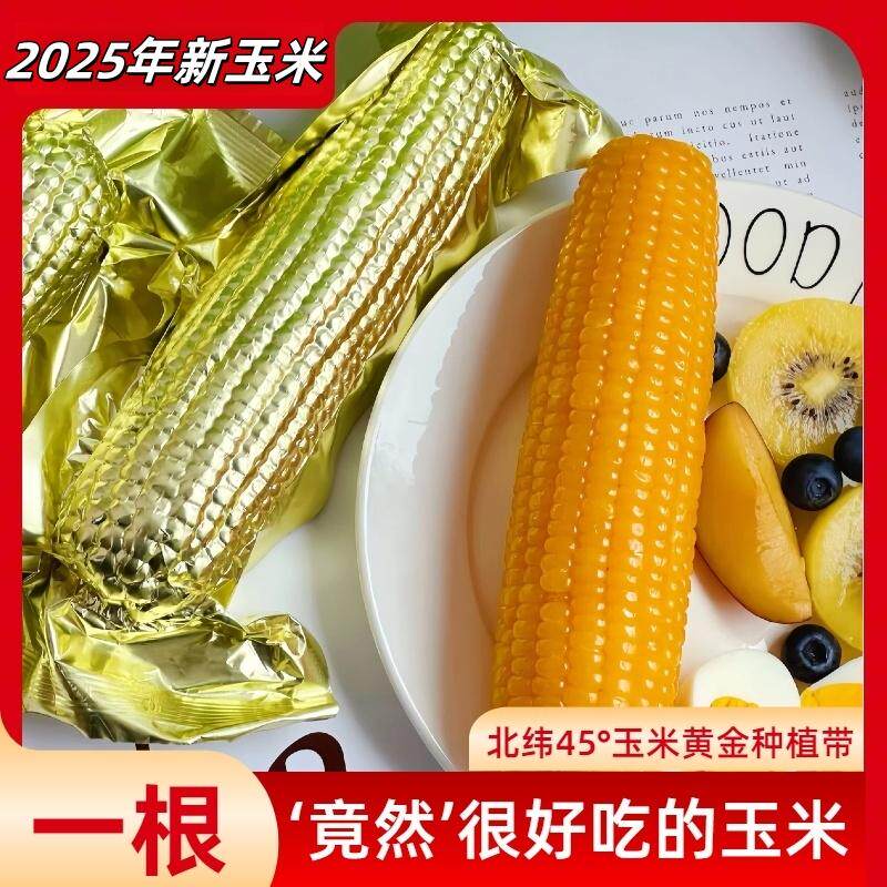 王老宝东北黄甜糯玉米大棒2025新鲜粘黏苞米健身粗粮真空装代餐