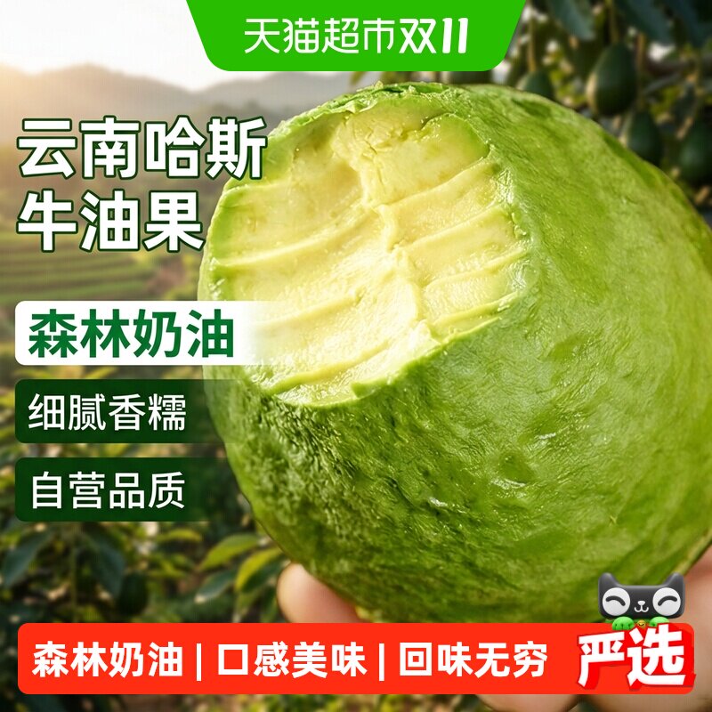 云南哈斯牛油果应当季新鲜水果整箱特大果非即食鳄梨孕妇