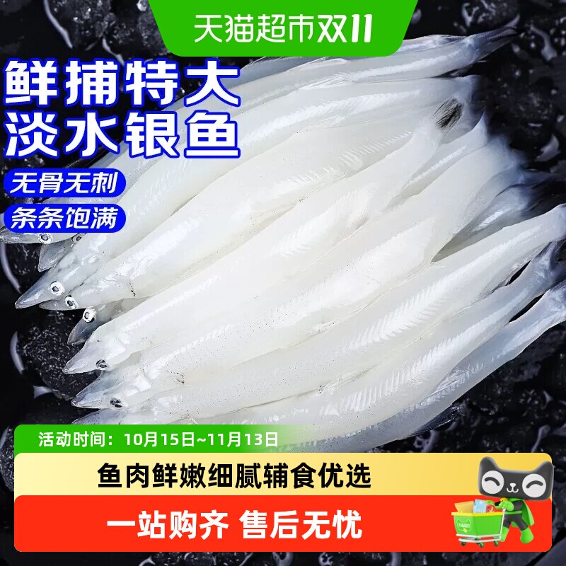 顺丰上门青岛大银鱼新鲜冷冻面条鱼白饭鱼宝宝银鱼