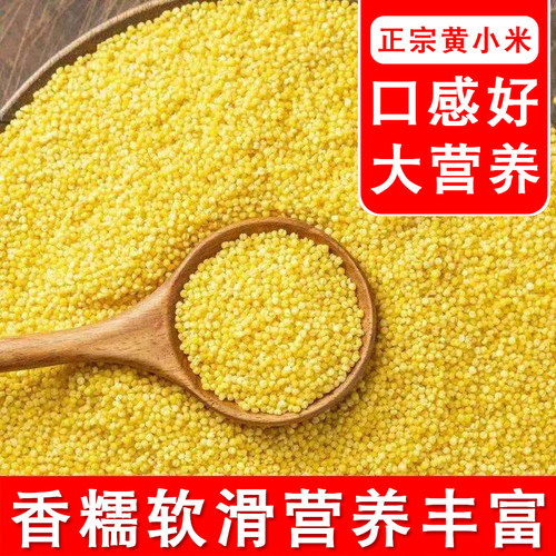 黄小米特价新米自产新粮熬粥批发五谷杂粮米油醇厚新米米脂小米