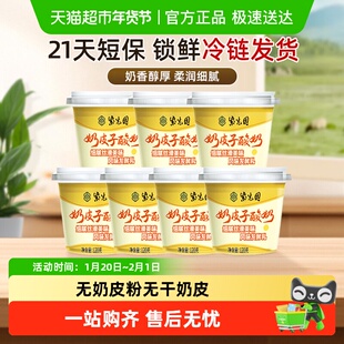 紫光园奶皮子酸奶酪北京特产老字号低温网红酸奶源头直送