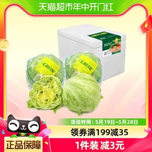 健康轻食新鲜蔬菜 4颗 绿行者球生菜沙拉2kg