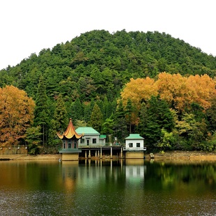 官方直营 秋意盎然~庐山景德镇鄱阳湖石钟山婺源篁岭3天2晚+拼房