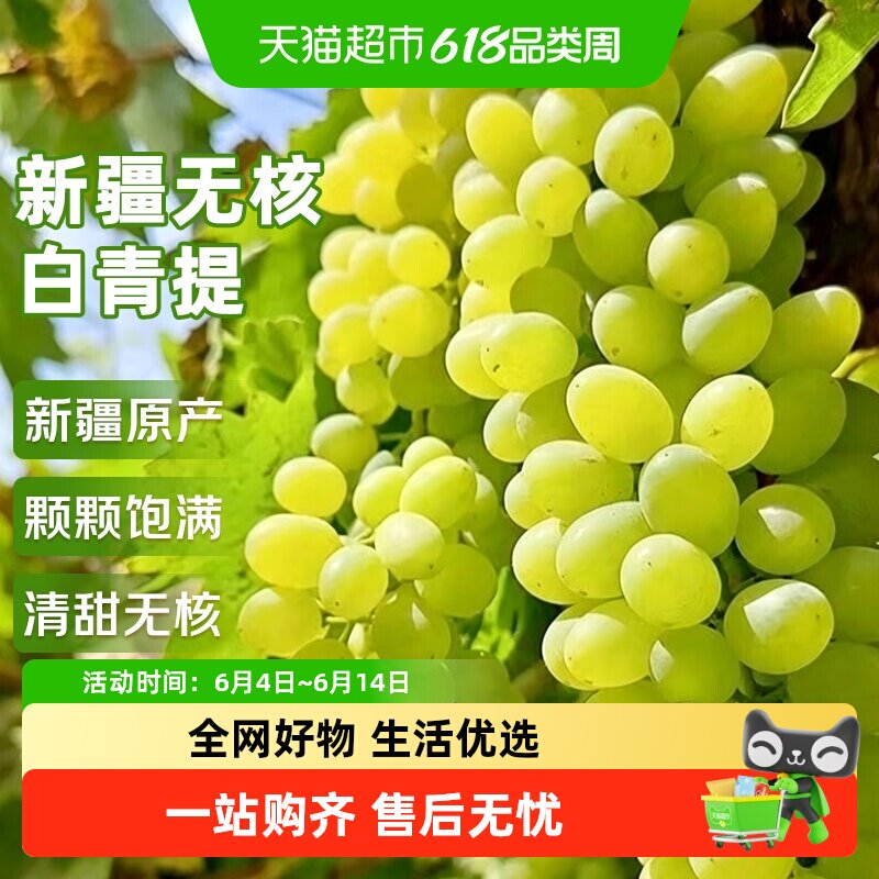 云南正宗无核白小蜜蜂葡萄应当季新鲜水果无籽青提葡萄整箱
