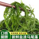 鞭炮笋火锅食材海藻菜羊栖凉拌菜海草火炮菜长寿菜龙须盐渍马尾藻
