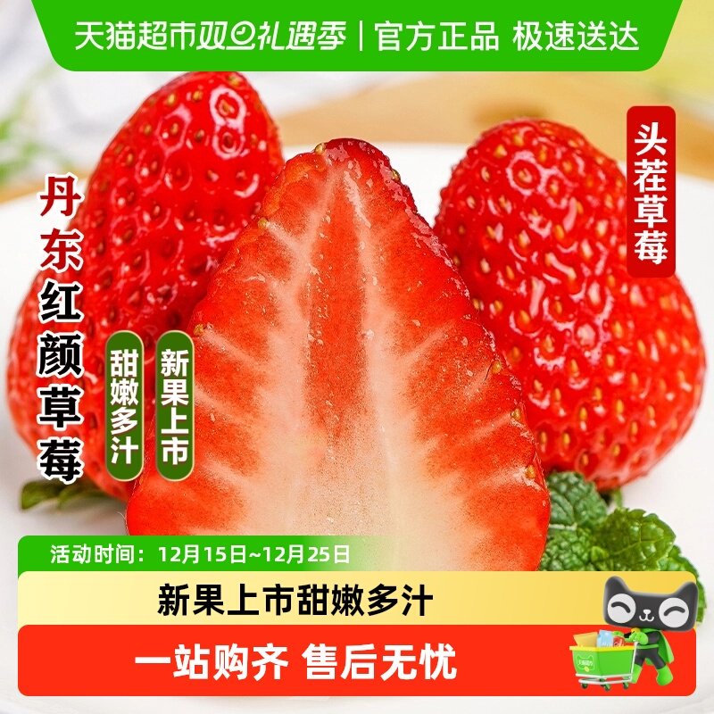 本来果坊丹东99红颜草莓