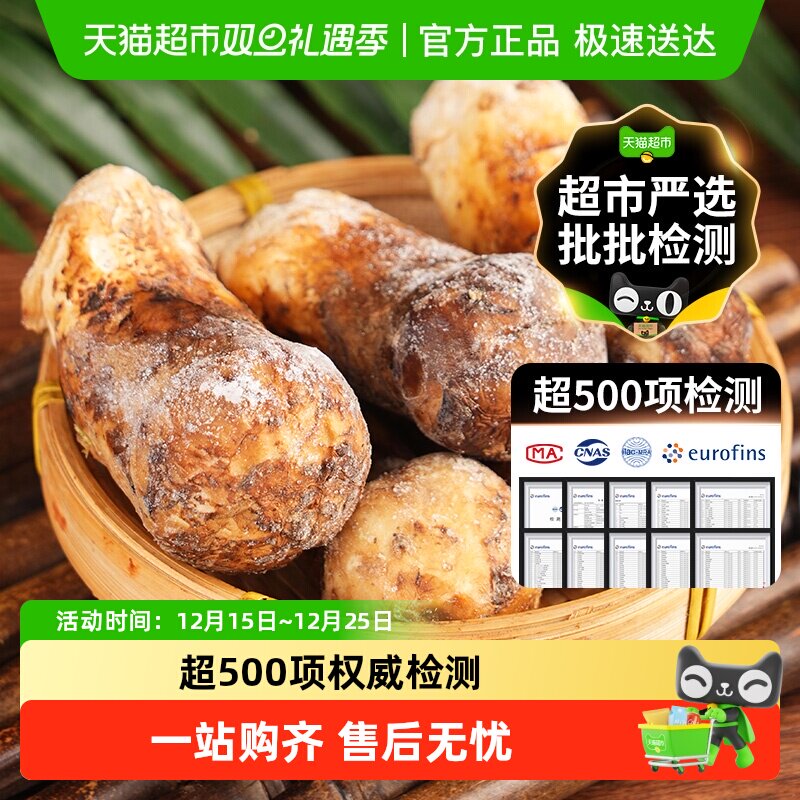 香格里拉野生松茸新鲜云南菌菇特级级未开伞出口级非干货