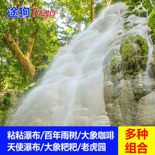 【品质日游】清迈粘粘瀑布一日游天使瀑布粑粑纸公园百年雨树