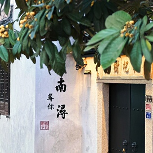 南浔古镇小莲庄+张静江故居+摇橹船包船体验+人工讲解+三道茶体验