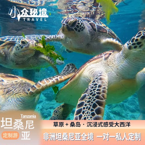【坦桑尼亚晚定制游】全国可出发，详询客服搭配航班 在塞伦盖蒂追踪兽群扬起红尘，体验充满丁香气息的桑给巴尔海风 充满野性与浪漫的草原safari+内陆航班飞桑岛适合在Safari后放松3-4天。 精心设计旅行路线，体验石头城文化遗址、香料种植园、白沙滩潜水。