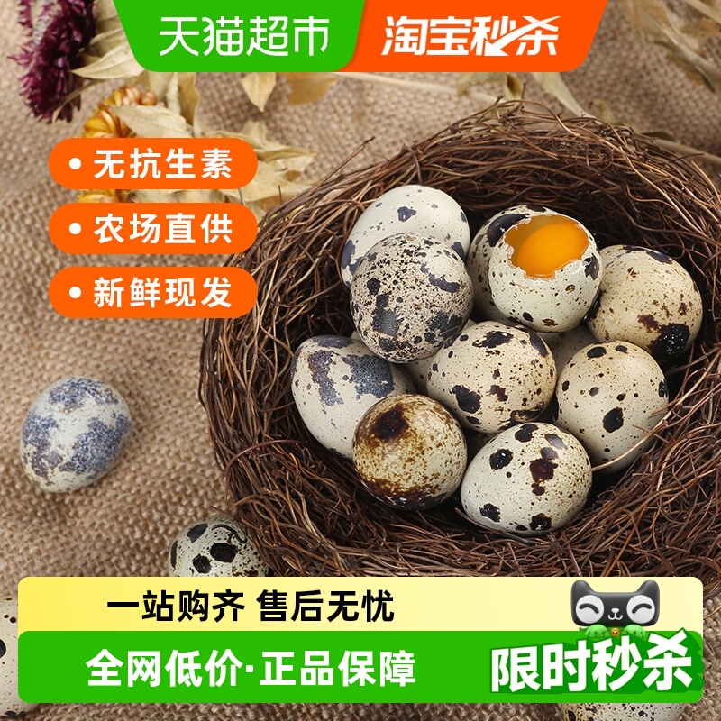 神丹无抗鲜鹌鹑蛋50枚